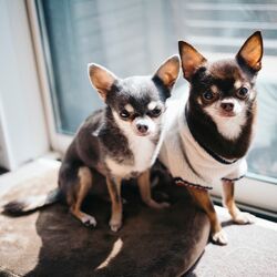 AdobeStock_195280790