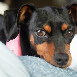 AdobeStock_346968678