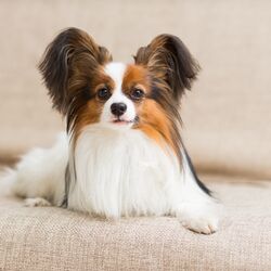AdobeStock_192509316