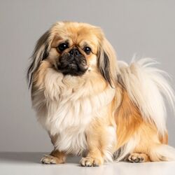 AdobeStock_1847482545