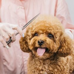 AdobeStock_1664932980