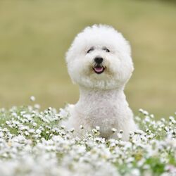 AdobeStock_319061875