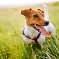 AdobeStock_446674111