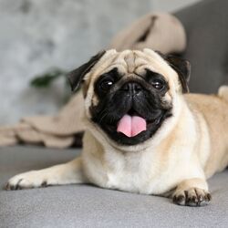 AdobeStock_299365760