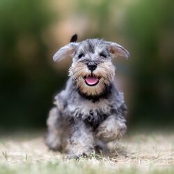 AdobeStock_216216294