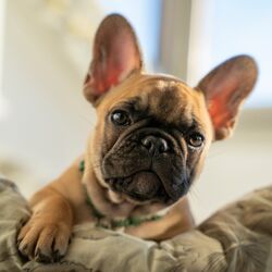 AdobeStock_502453614