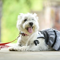 AdobeStock_361678448