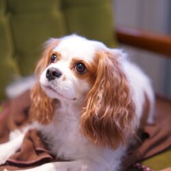 AdobeStock_252719453