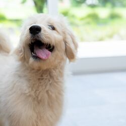 AdobeStock_616872779