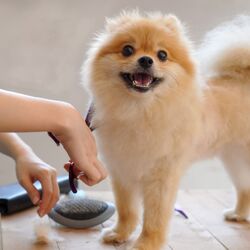 AdobeStock_299769086