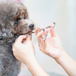 AdobeStock_319666737