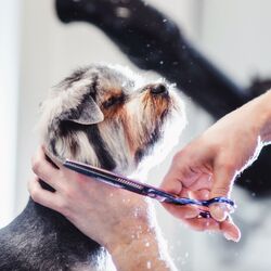 AdobeStock_195248324