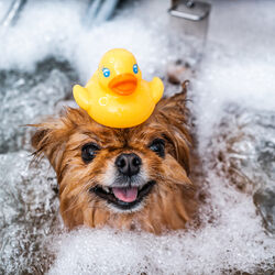 pixta_101142646_M (1) (1)