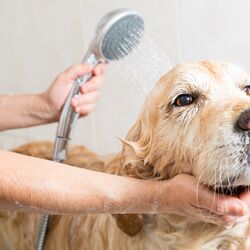 AdobeStock_74375315