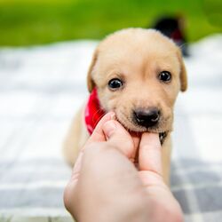 AdobeStock_115468456 (1)
