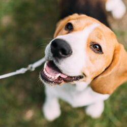 AdobeStock_195132893