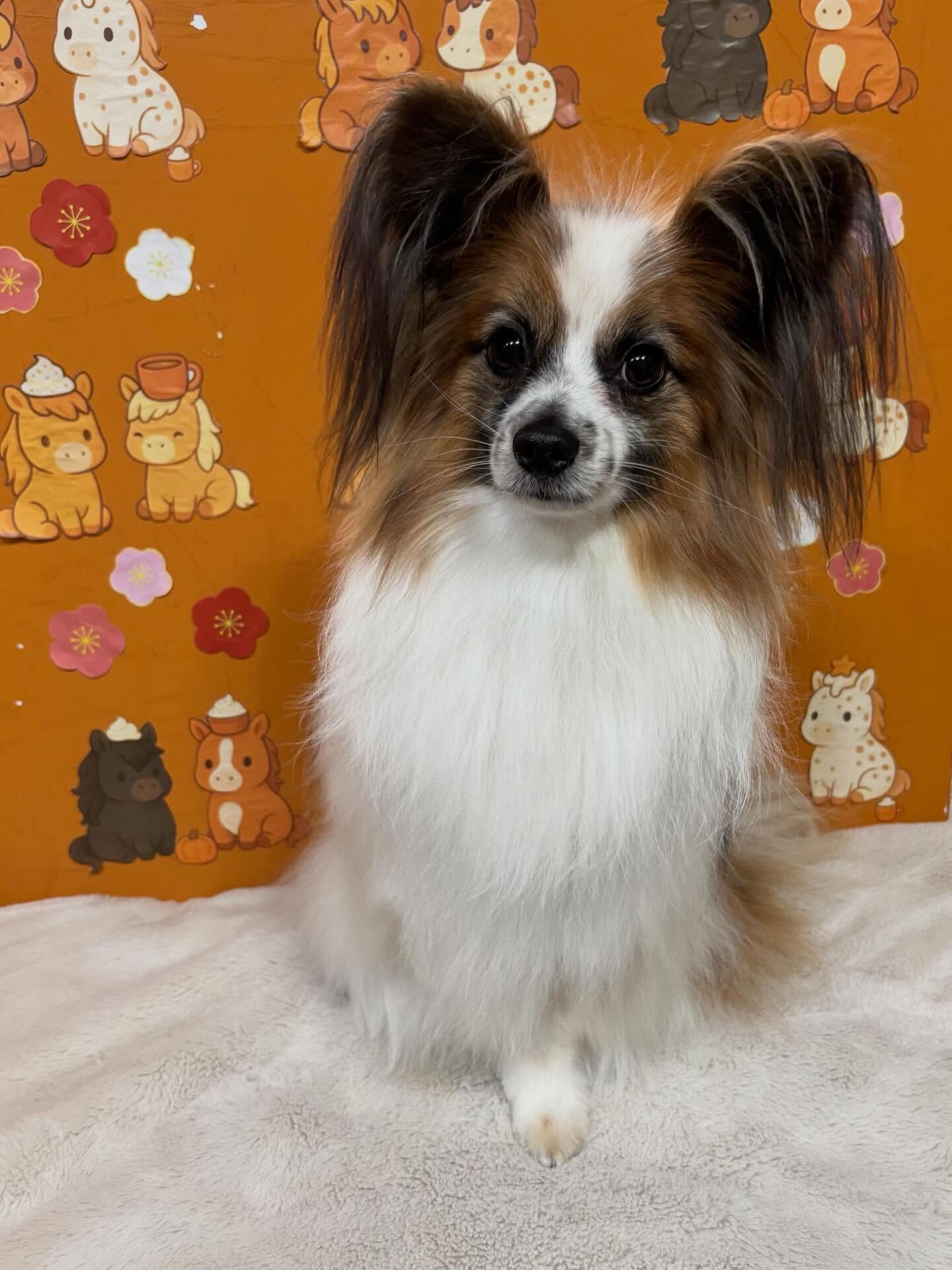 トリートメントでふわさらに🫶