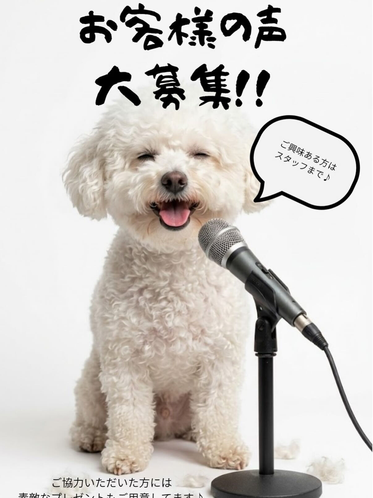 🎤お客様の声‼大募集‼🎤