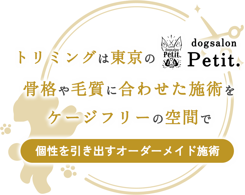 MVcatch_pc